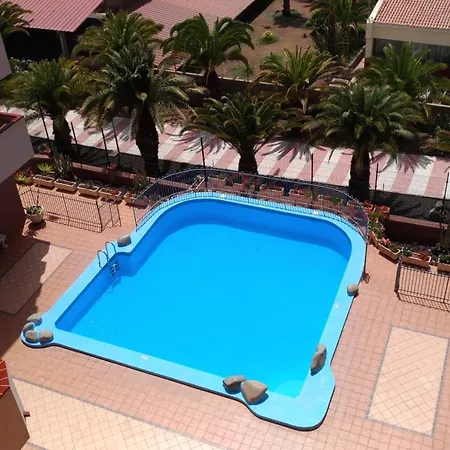 Safran * Los Cristianos (Tenerife)